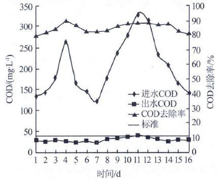 标定阶段COD 处理效果.jpg