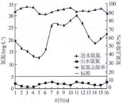 标定阶段氨氮处理效果.jpg